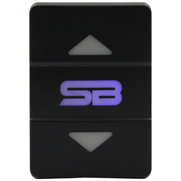 Rocker Switch to suit Toyota Small - 14 Styles