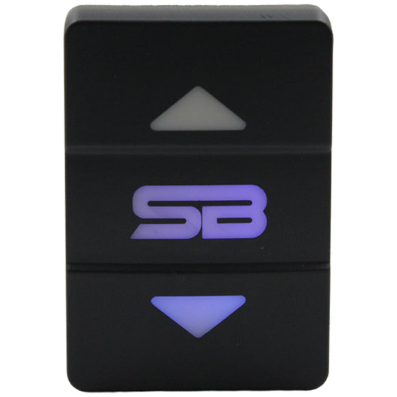 Rocker Switch to suit Toyota Small - 14 Styles