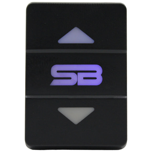 Rocker Switch to suit Toyota Small - 14 Styles