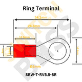 Insulated Ring Crimp Terminal
