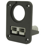 Anderson Plug