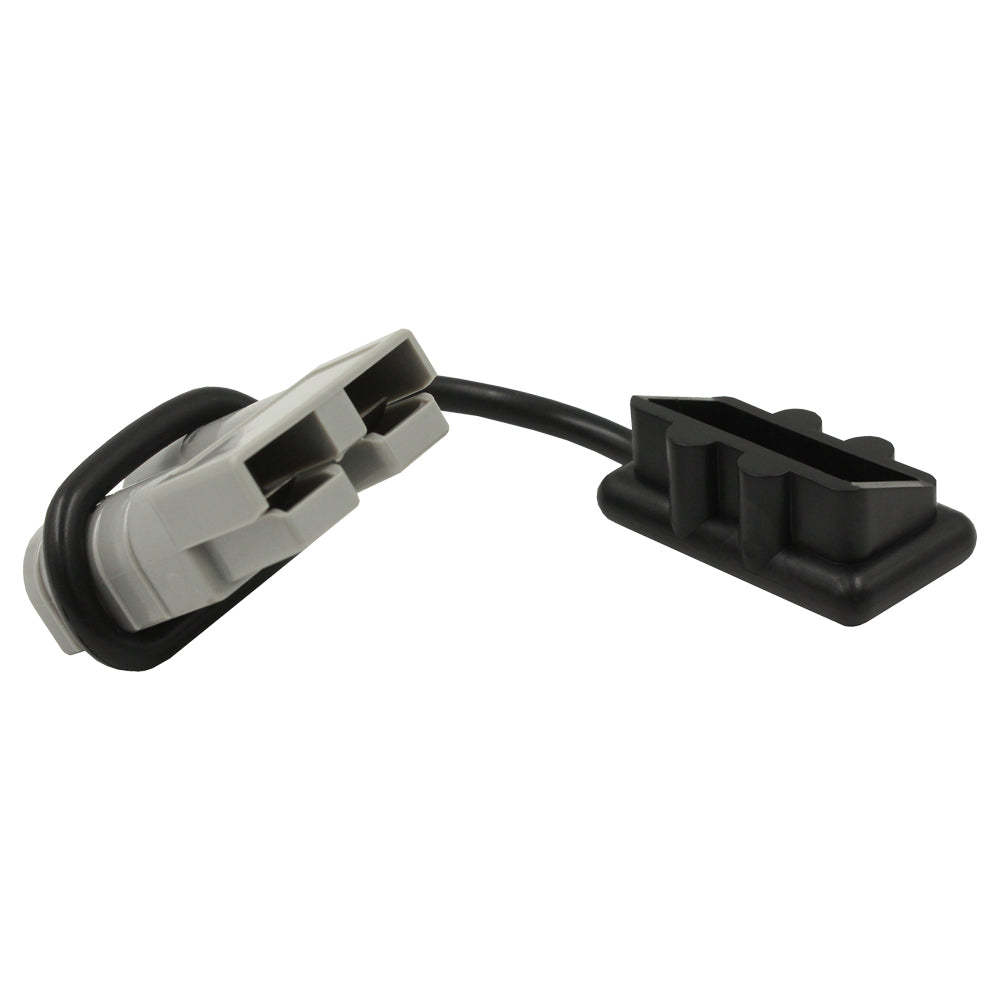 Anderson plug cap