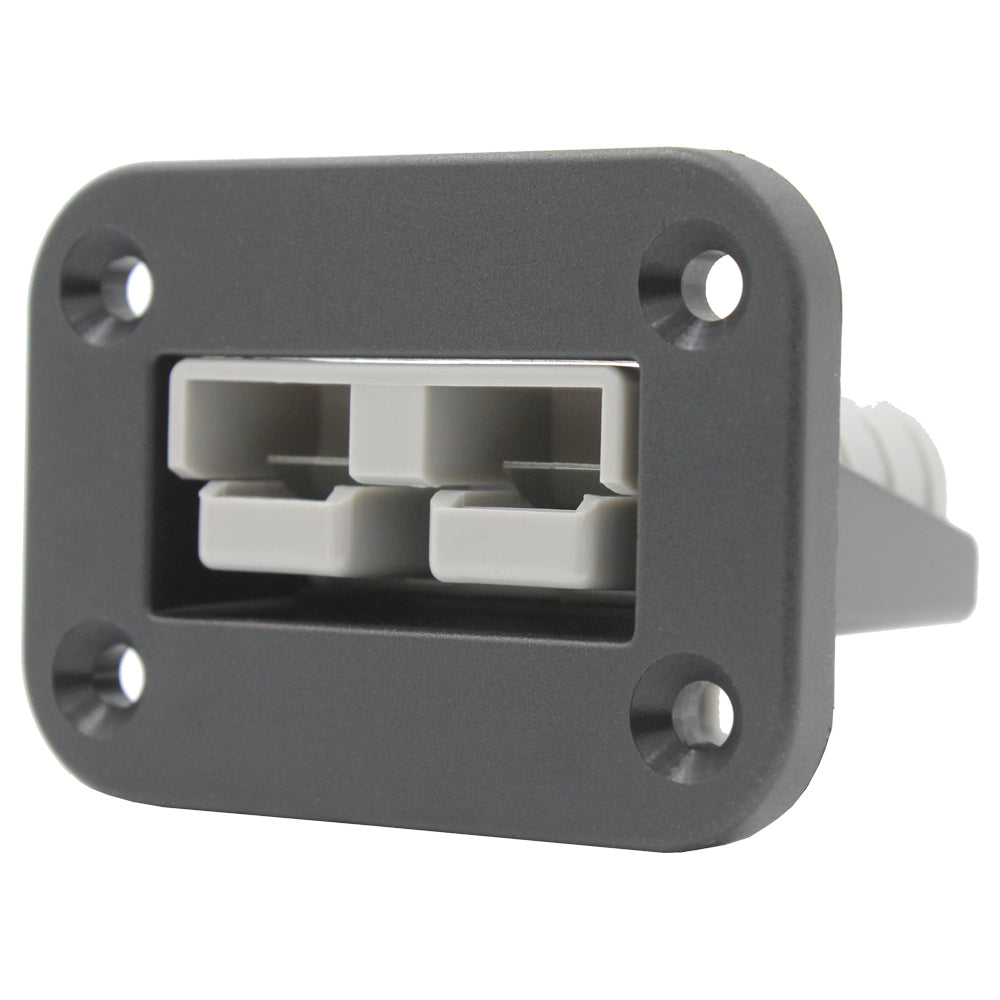 Anderson Plug