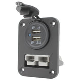 anderson plug