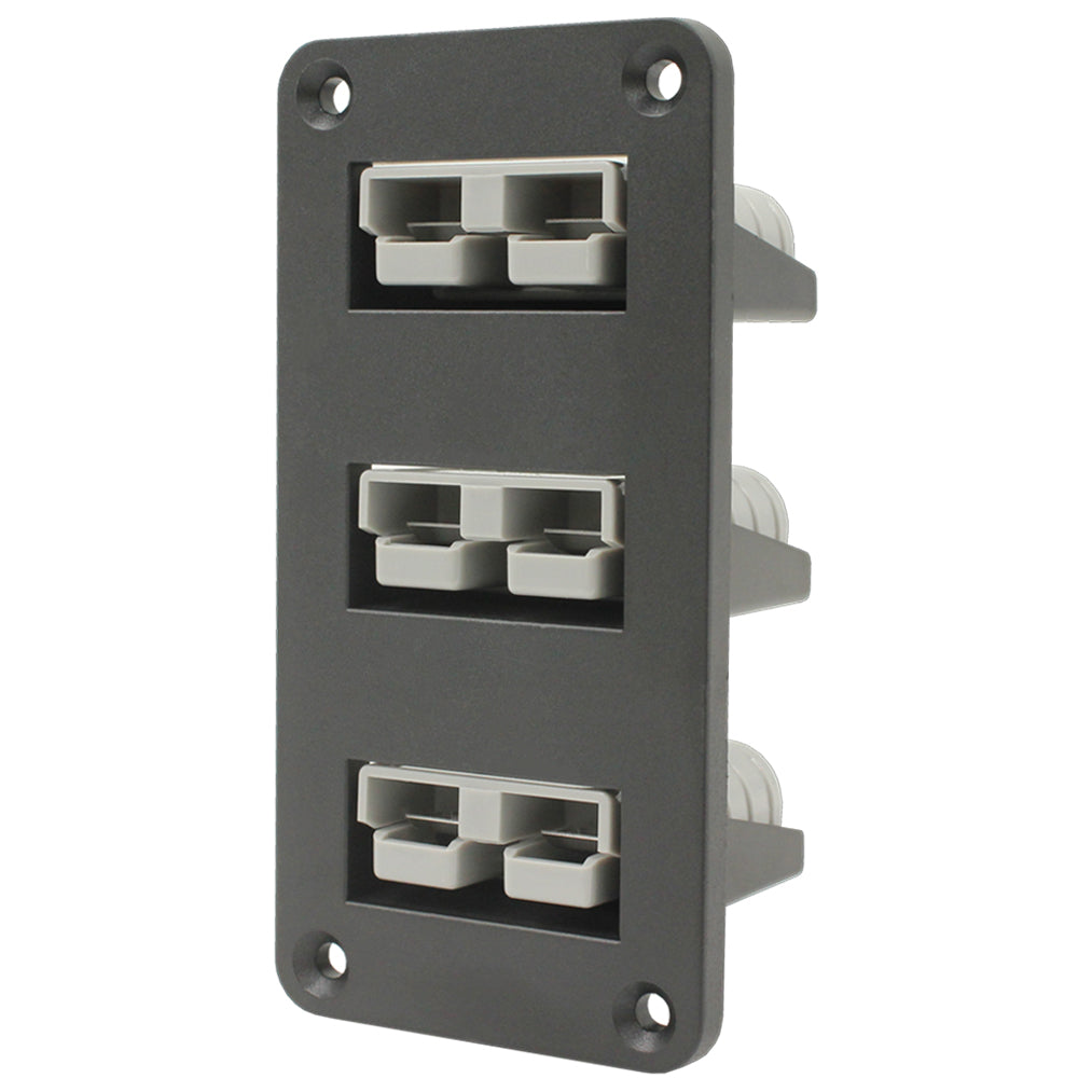 Anderson Plug