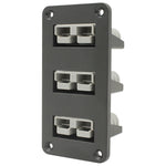 Anderson Plug