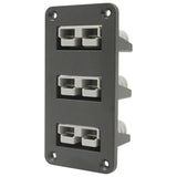 Anderson Plug