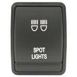 Nissan Switch Spot Lights