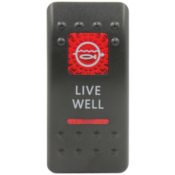 rocker switch live well