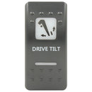 rocker switch drive tilt