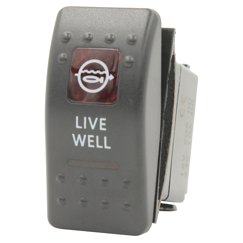 Rocker Switch Live Well